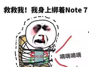 吃瓜网安全官,网络安全背后的那些事儿