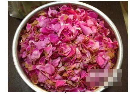 娱乐吃瓜酱玫瑰花,玫瑰花背后的秘密故事