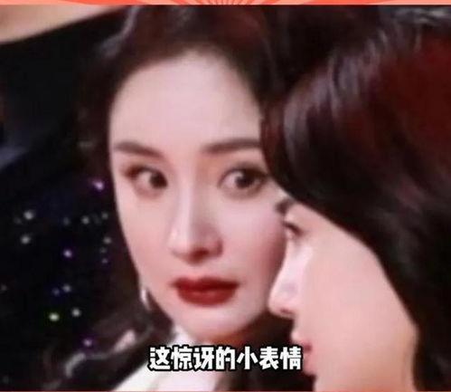 娱乐圈吃瓜主页,揭秘明星背后的故事与真相